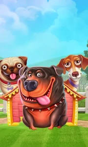 The Dog House
